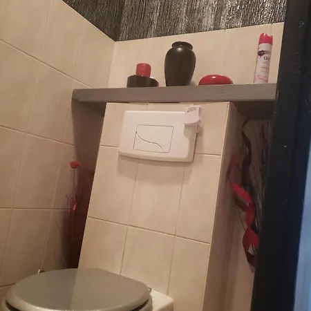 Appartement Miss G'Ainguette à Guereins Extérieur photo